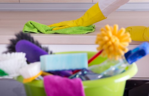 Professional pet stain odour removal in South Tottenham carpet cleaning scene