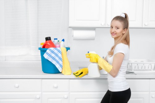 Deep cleaning and stain removal for a household rug