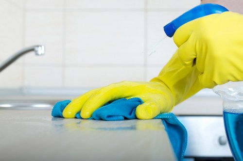 Screen-reader support information for South Tottenham Carpet Cleaners