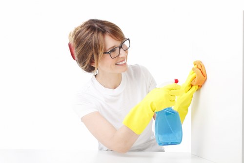 Odour neutralisation process for pet stain removal in a living room