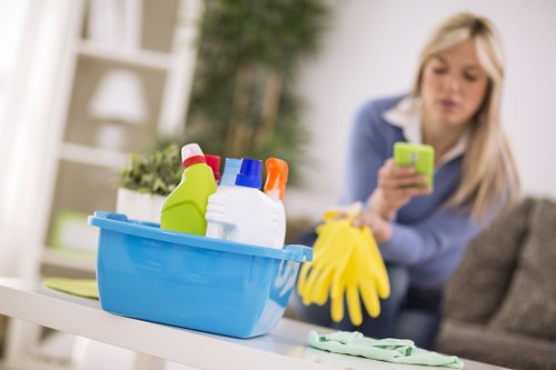 Deep cleaning treatment for pet odour removal on upholstered sofa