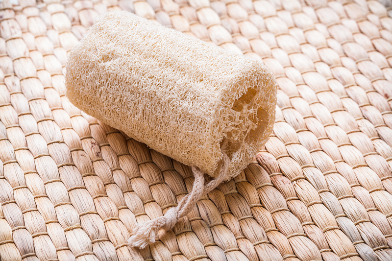 Professional cleaners eco-friendly